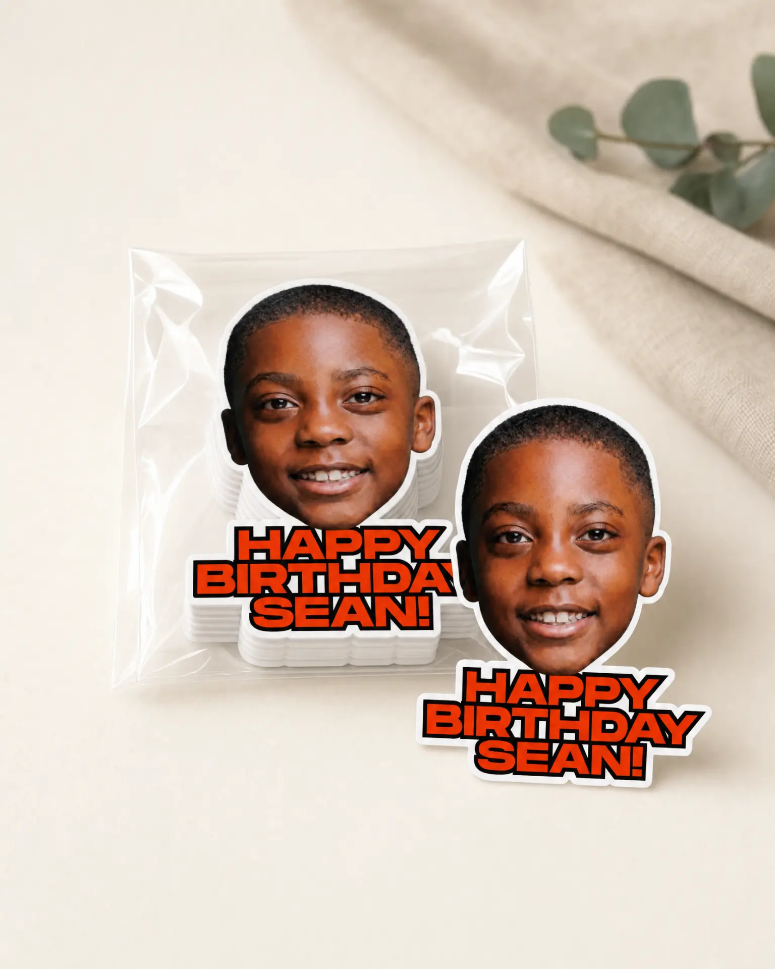 Happy Birthday Sean die-cut stickers in a clear pack
